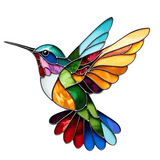 Krāsaina kaklarota kolibri formā